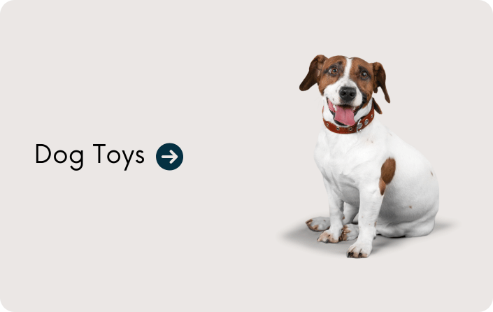 Dog Toys