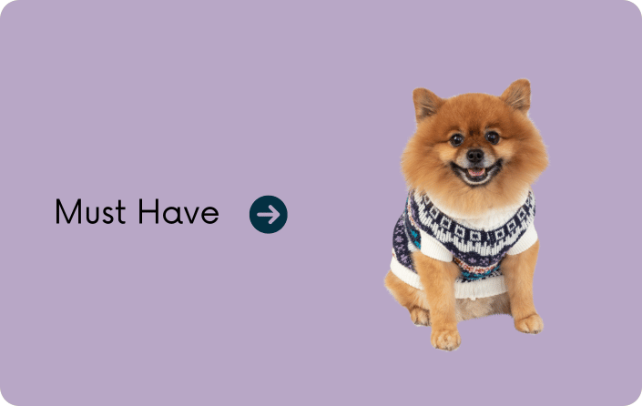 Dog Must Haves!