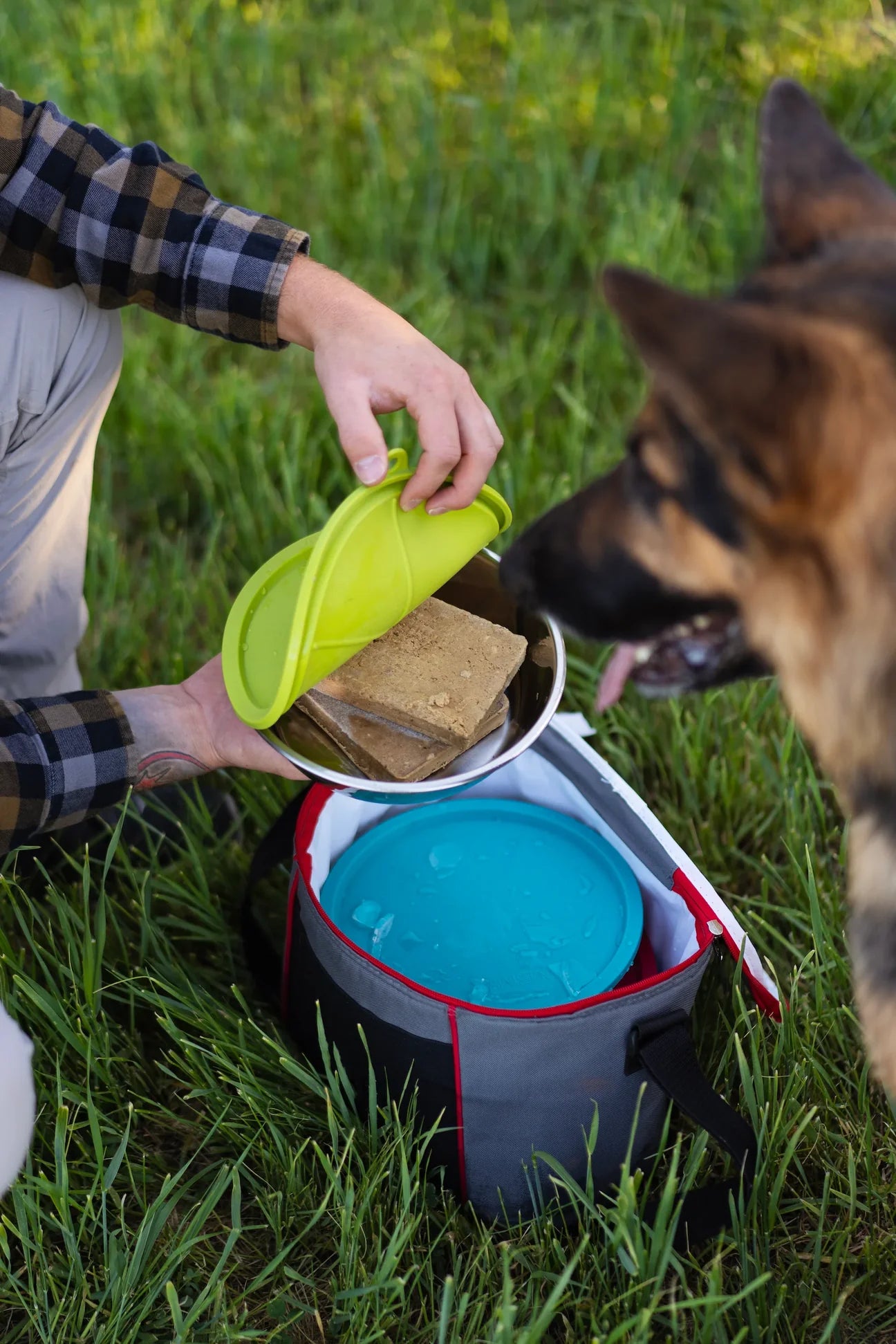 Three Stainless Steel Dog Bowls and Three Silicone Lids, Extra  Large, 6 Cups Per Bowl