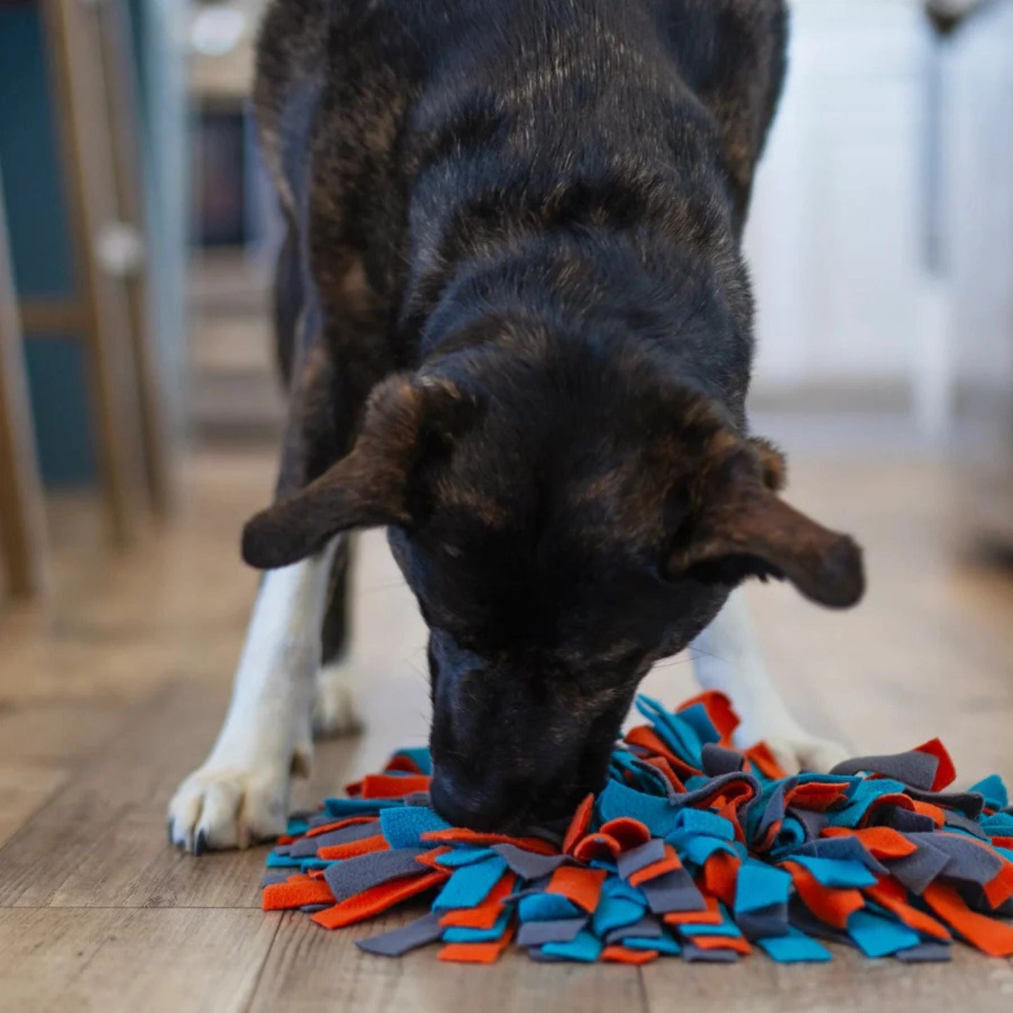Messy Mutts Round Forage/Snuffle Mat, 15"