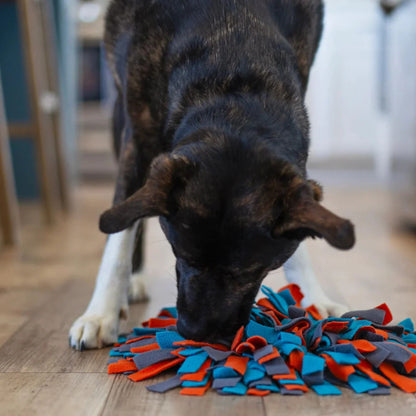 Messy Mutts Round Forage/Snuffle Mat, 15"