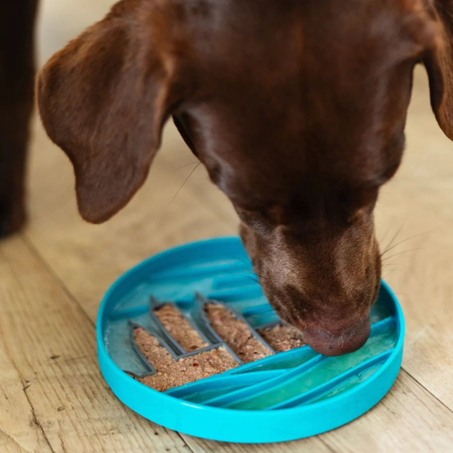Urban City Scene 8" Silicone Therapeutic Dog Lick Bowl-Interactive Dog Feeder