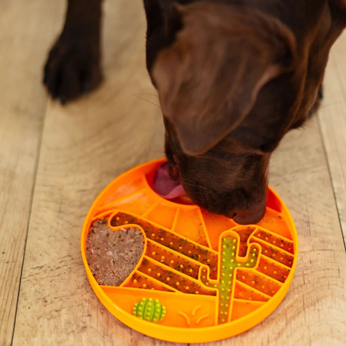 Desert Scene 8" Silicone Therapeutic Dog Lick Bowl-Interactive Dog Feeder