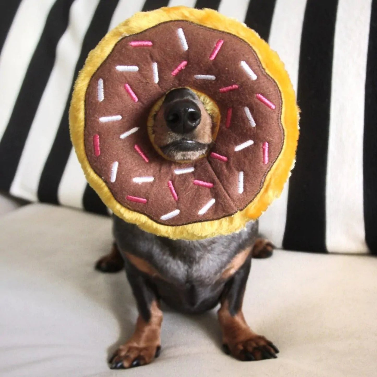 ZippyTuff Donutz – Chocolate