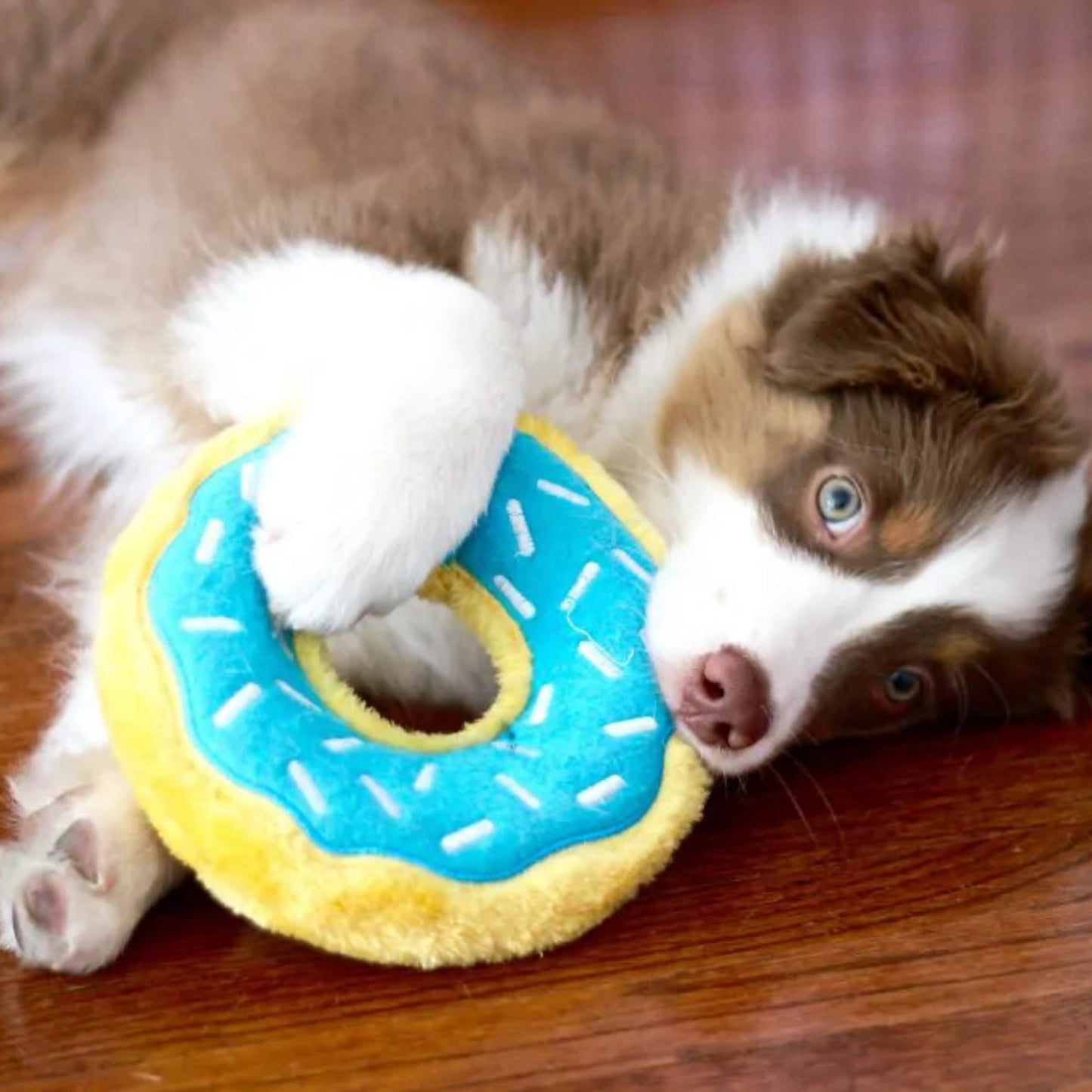 ZippyTuff Donutz – Blueberry