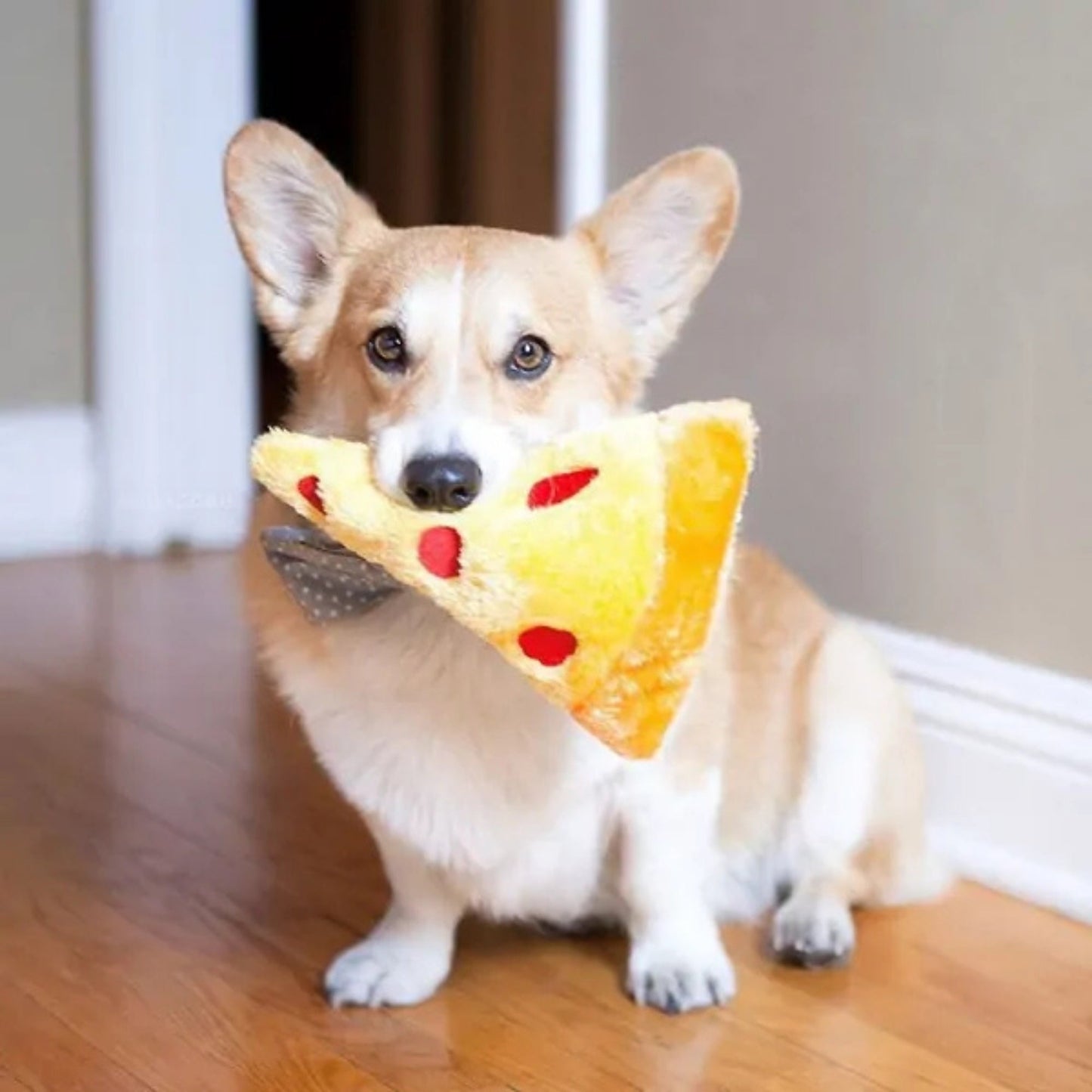 ZippyClaws NomNomz – Pizza Slide
