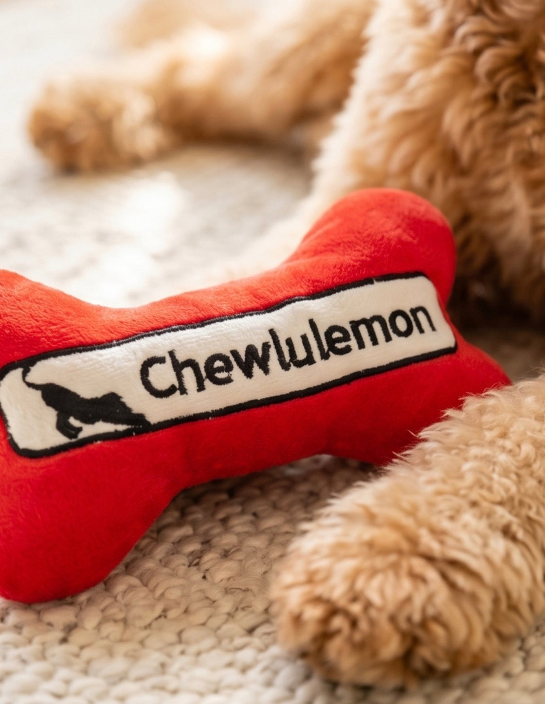 Chewlulemon Bone - View 2