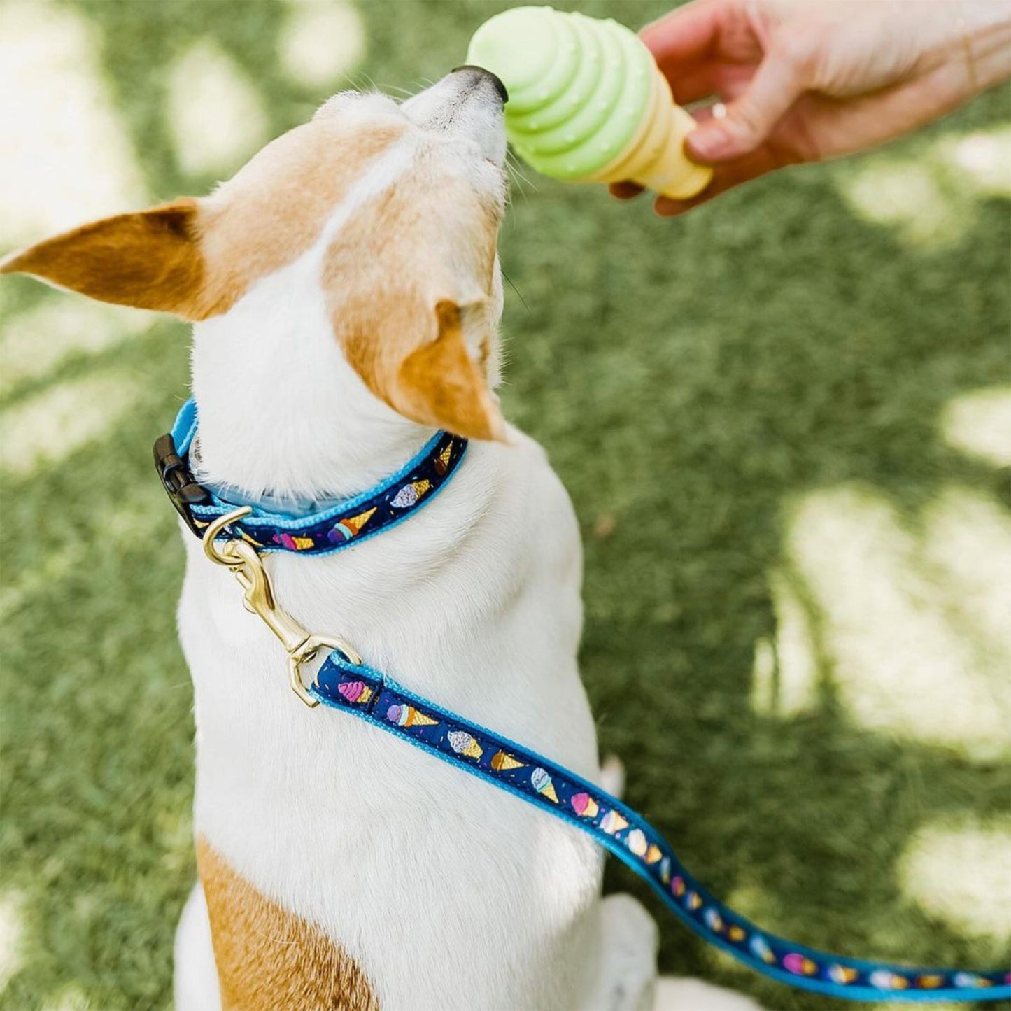 Ice Cream Dog Collar and Lead lifestyle