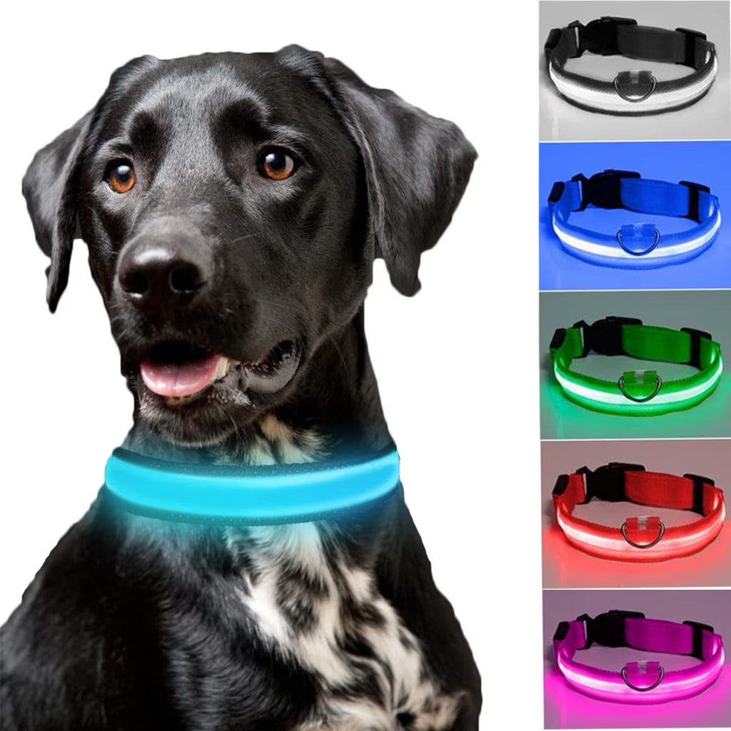 BrightPaws - Glow Light Collar