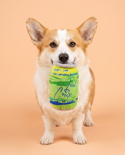 LickCroix Barkling Water Lickety Lime Plush Dog Toy