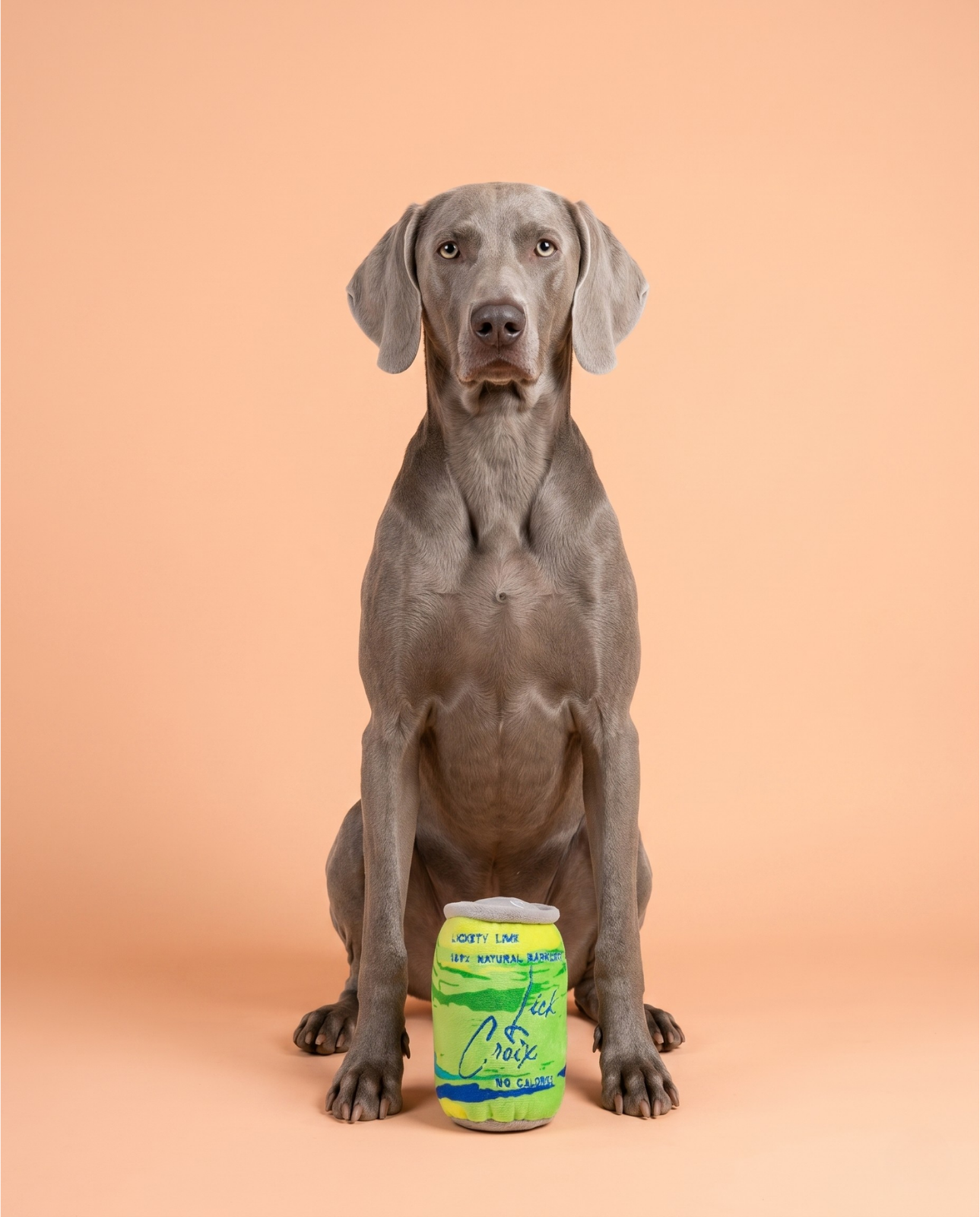 LickCroix Barkling Water Lickety Lime Plush Dog Toy