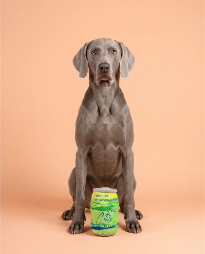 LickCroix Barkling Water Lickety Lime Plush Dog Toy