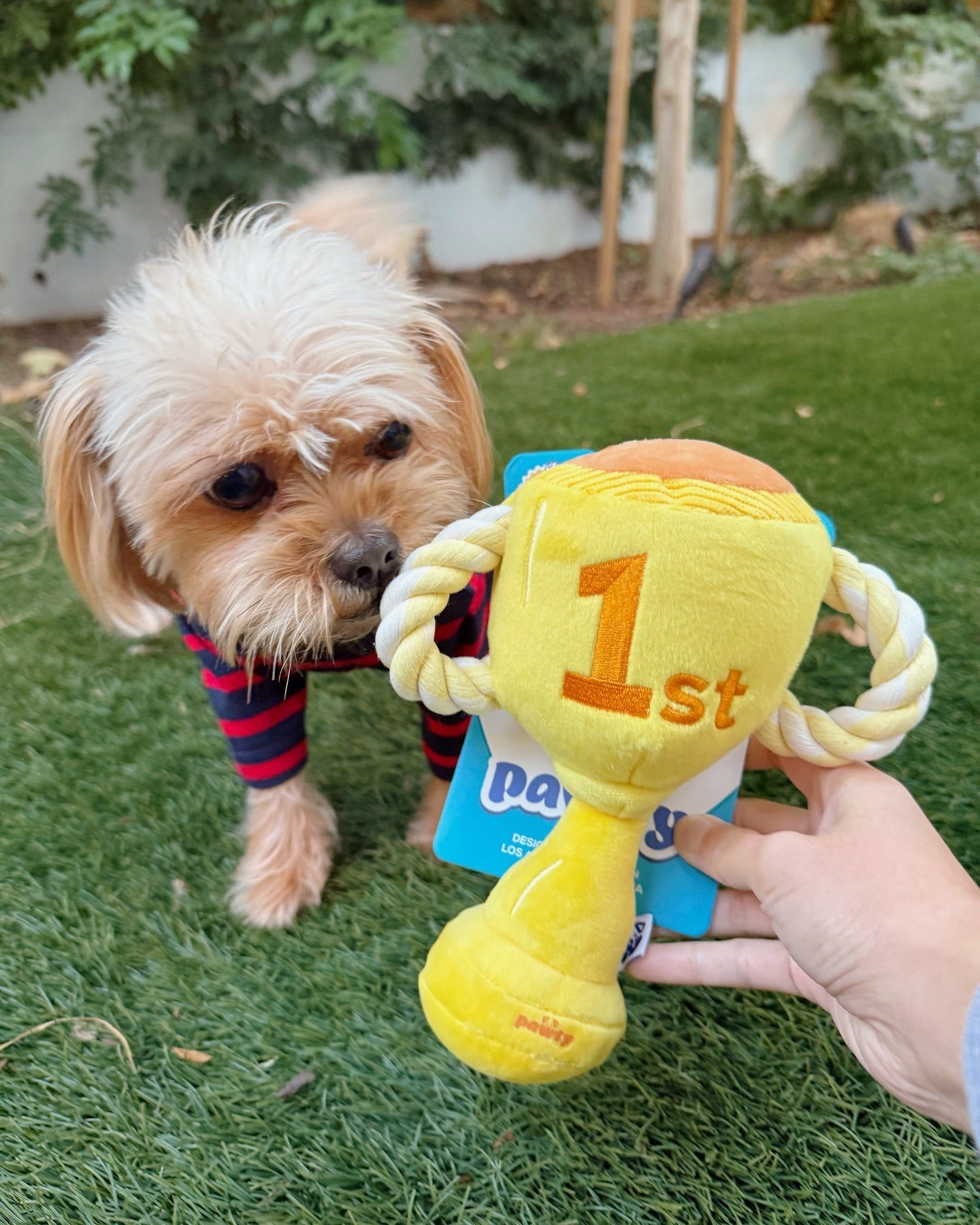 Trophy dog toy with dog