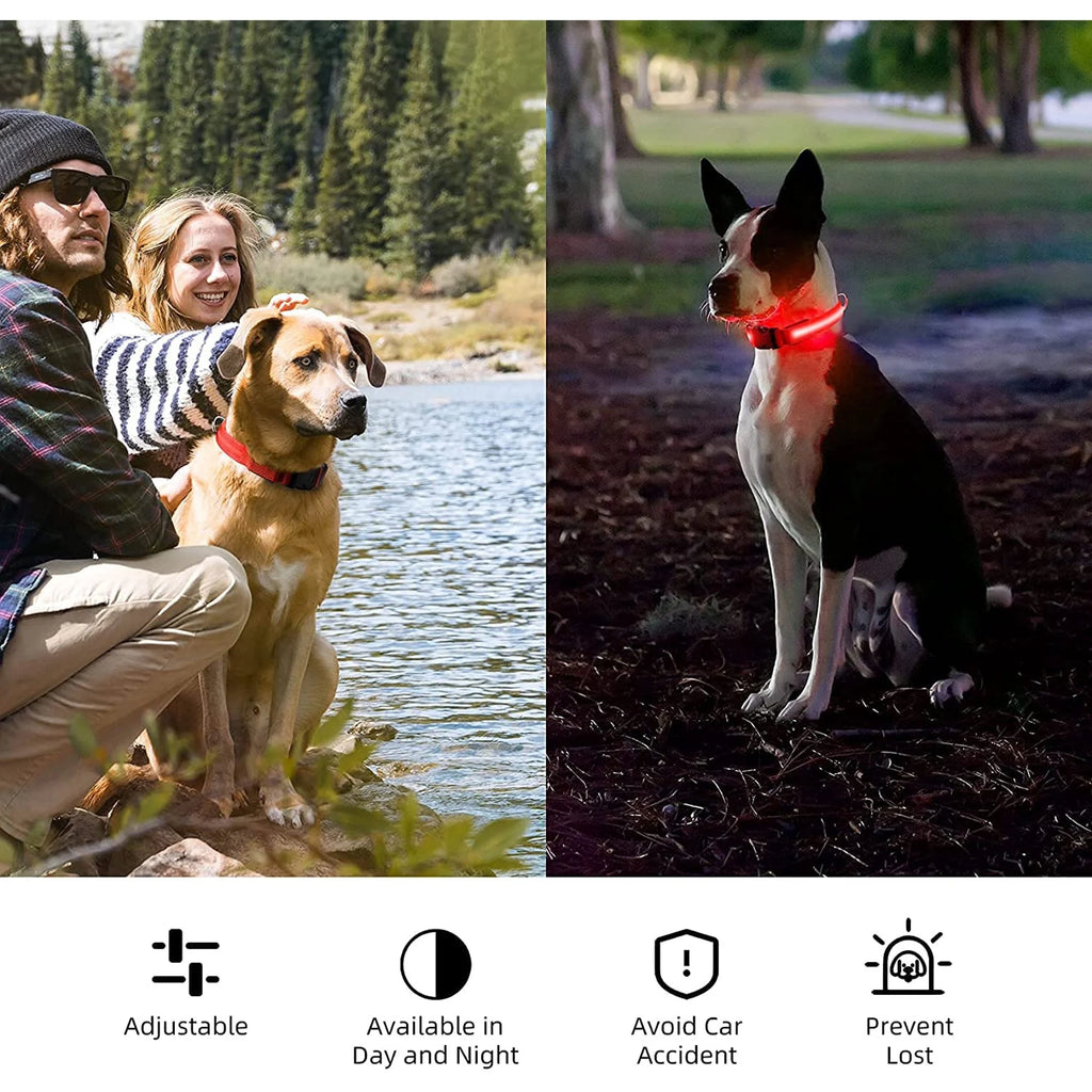 BrightPaws - Glow Light Collar